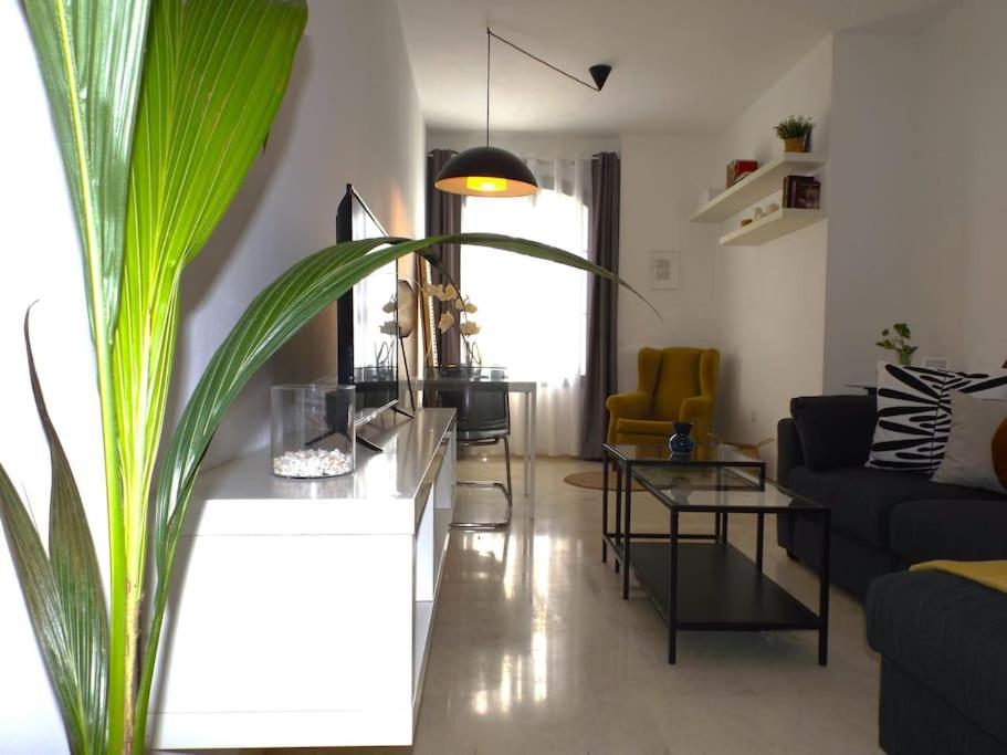 Apartamento Suite Centrico B มาลากา ภายนอก รูปภาพ